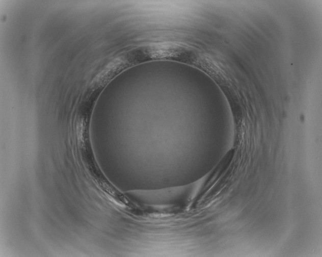 X0000060780219200511171251