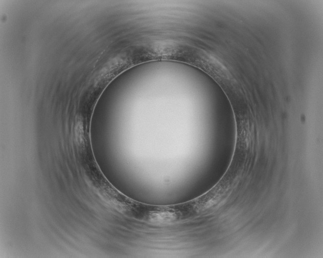 X0000060780220200511171251