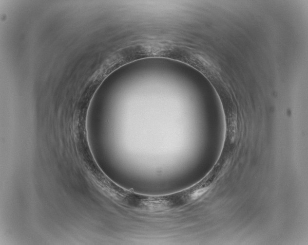 X0000060780221200511171251