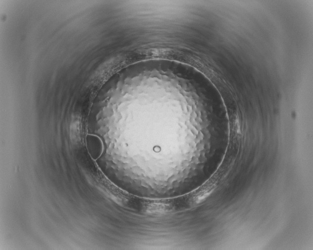 X0000060780222200511171251