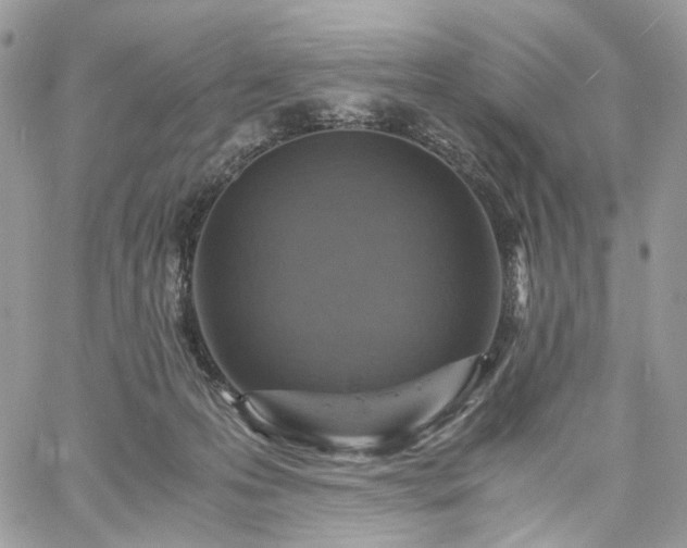 X0000060780223200511171251