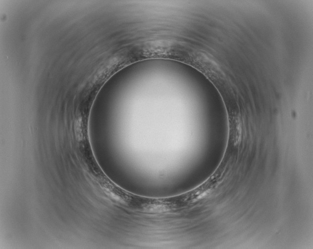 X0000060780224200511171251