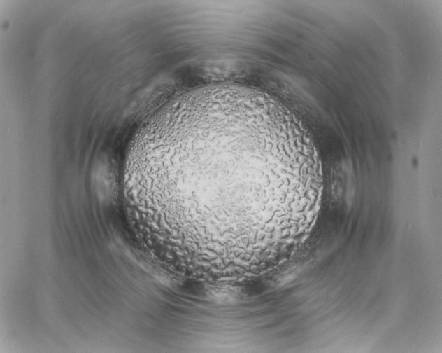 X0000060780226200511171251