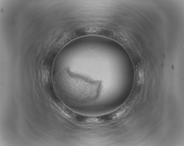 X0000060780227200511171251