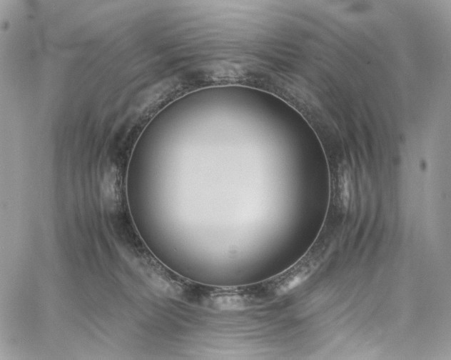 X0000060780228200511171251