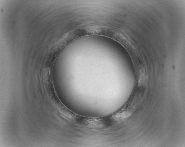 X0000060780229200511171251