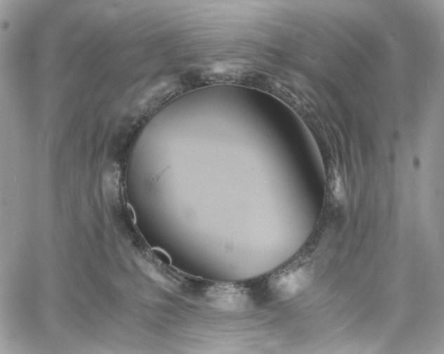 X0000060780231200511171251