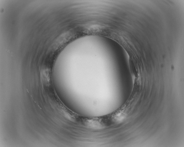 X0000060780232200511171251