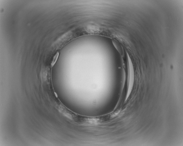 X0000060780233200511171251