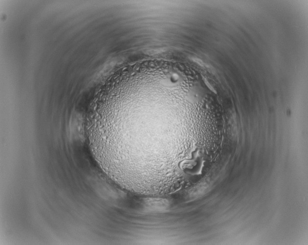 X0000060780234200511171251