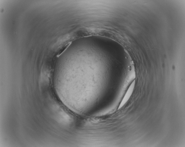 X0000060780235200511171251