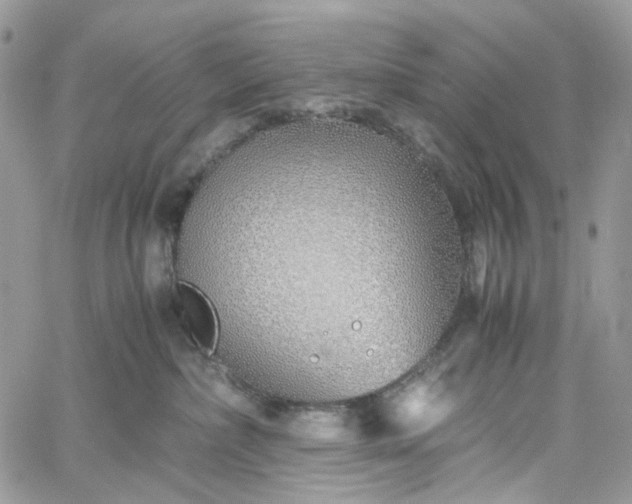 X0000060780236200511171251