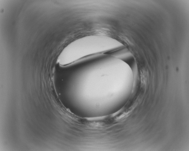 X0000060780237200511171251