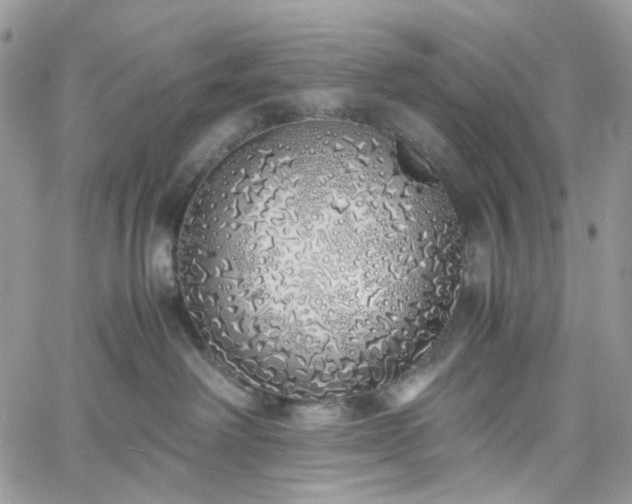 X0000060780238200511171251