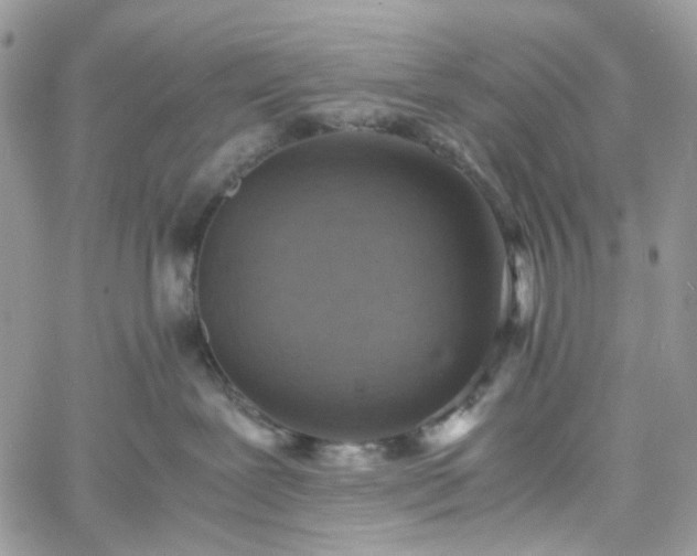 X0000060780239200511171251