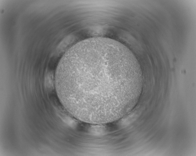 X0000060780240200511171251