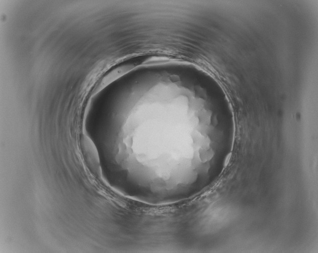 X0000060780241200511171250