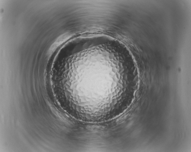 X0000060780242200511171250