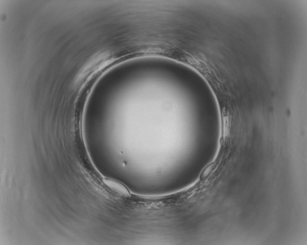 X0000060780243200511171250