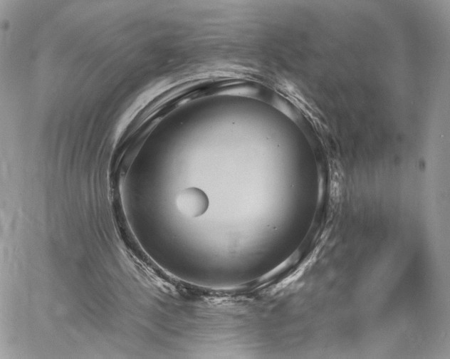 X0000060780244200511171250