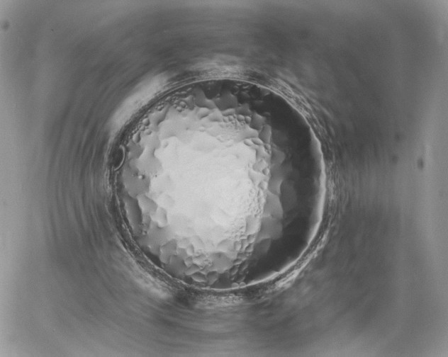 X0000060780245200511171250