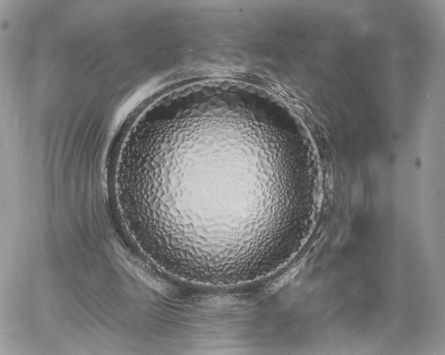 X0000060780246200511171250