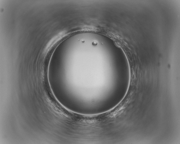 X0000060780247200511171250