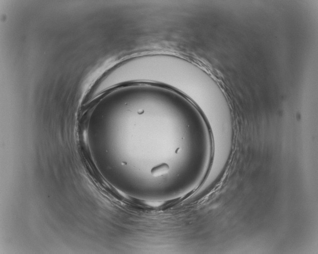 X0000060780248200511171250