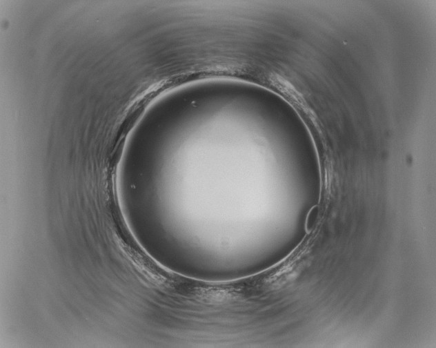 X0000060780249200511171250