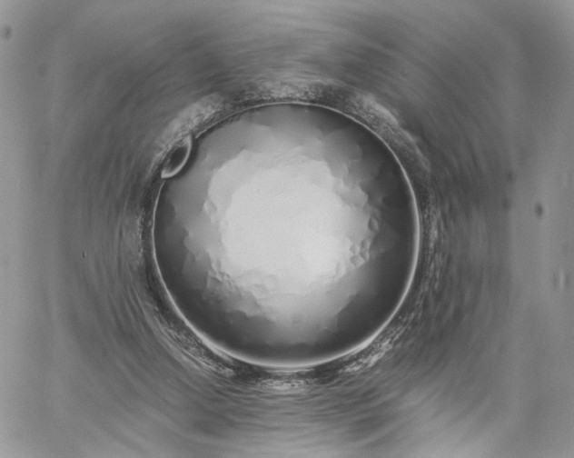 X0000060780250200511171250