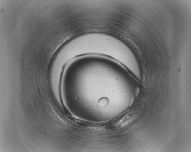 X0000060780251200511171250