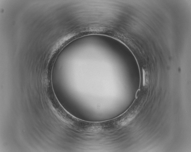 X0000060780252200511171250