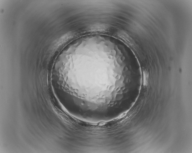 X0000060780253200511171250