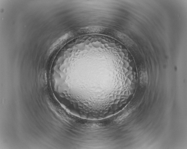 X0000060780254200511171250