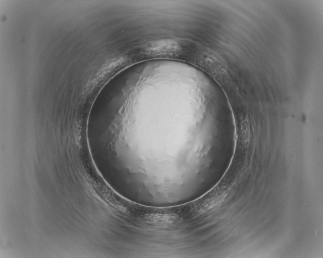 X0000060780255200511171250