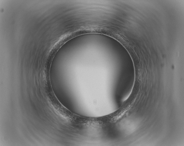 X0000060780256200511171250