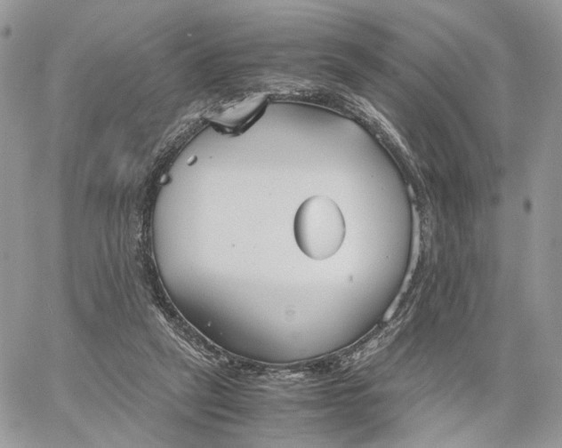 X0000060780257200511171250