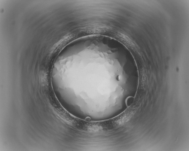 X0000060780258200511171250