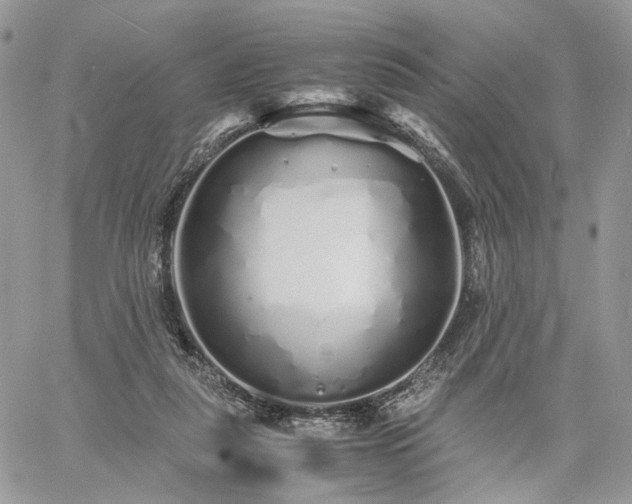 X0000060780259200511171250