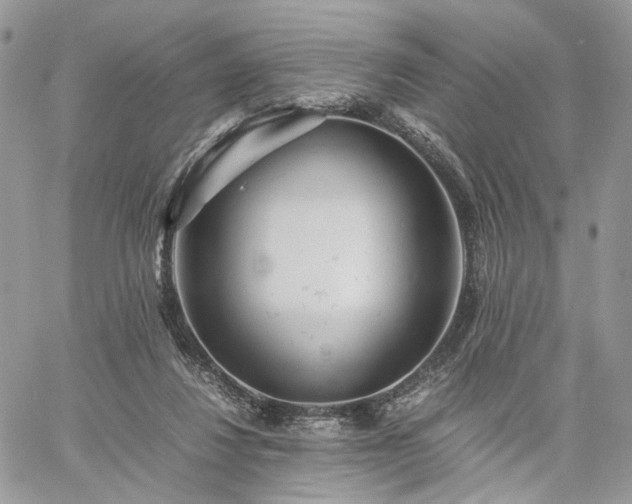 X0000060780260200511171250