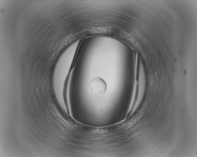 X0000060780261200511171250