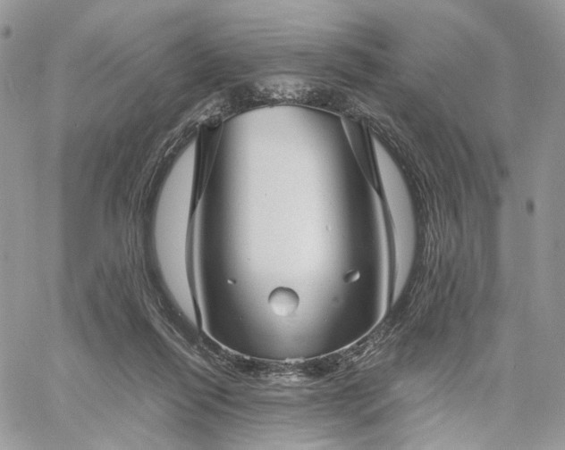 X0000060780262200511171250