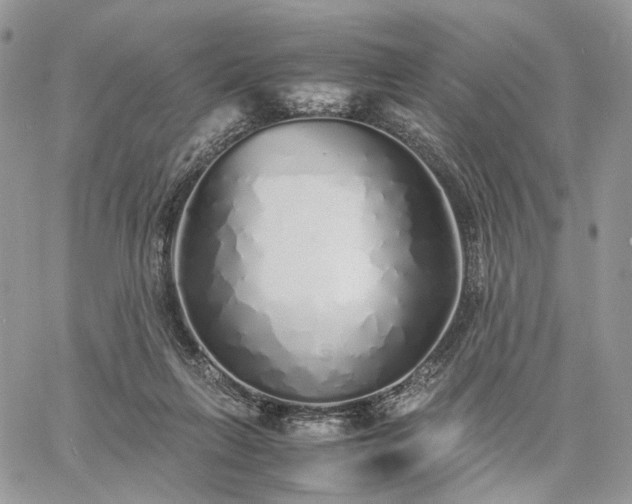 X0000060780263200511171250