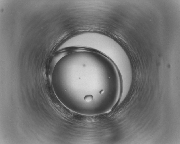 X0000060780264200511171250