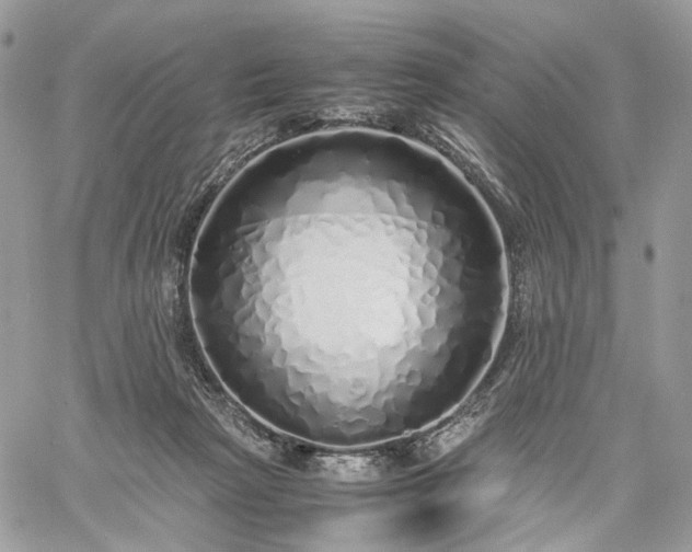 X0000060780265200511171250