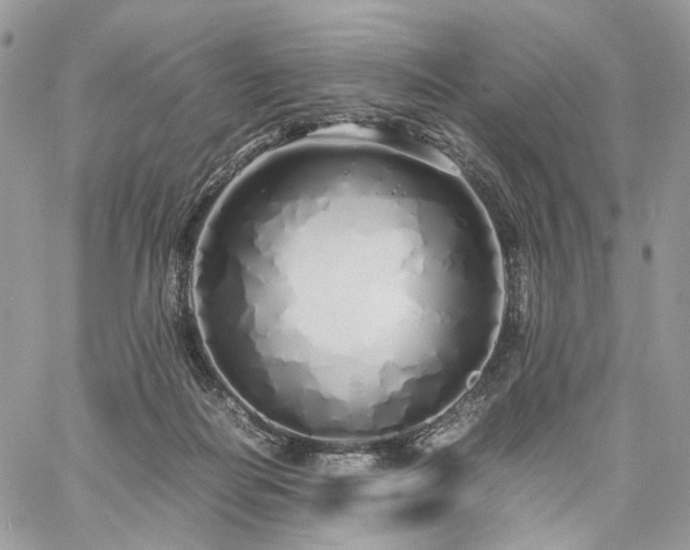 X0000060780266200511171250