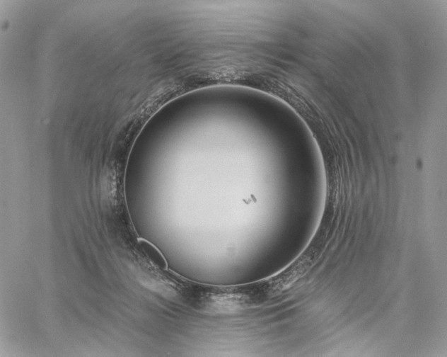 X0000060780268200511171250