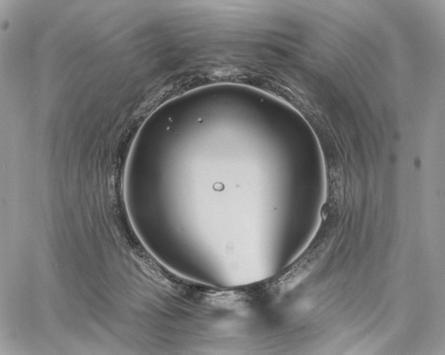 X0000060780269200511171250