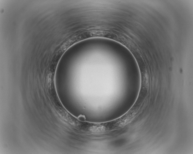 X0000060780271200511171250