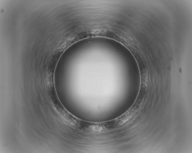 X0000060780272200511171250